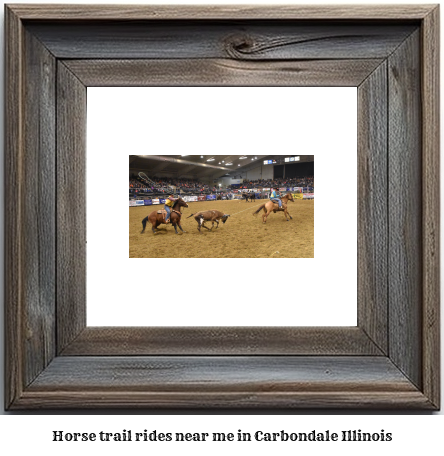 horse trail rides near me in Carbondale, Illinois